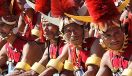 Nagaland Tribal Village Tour