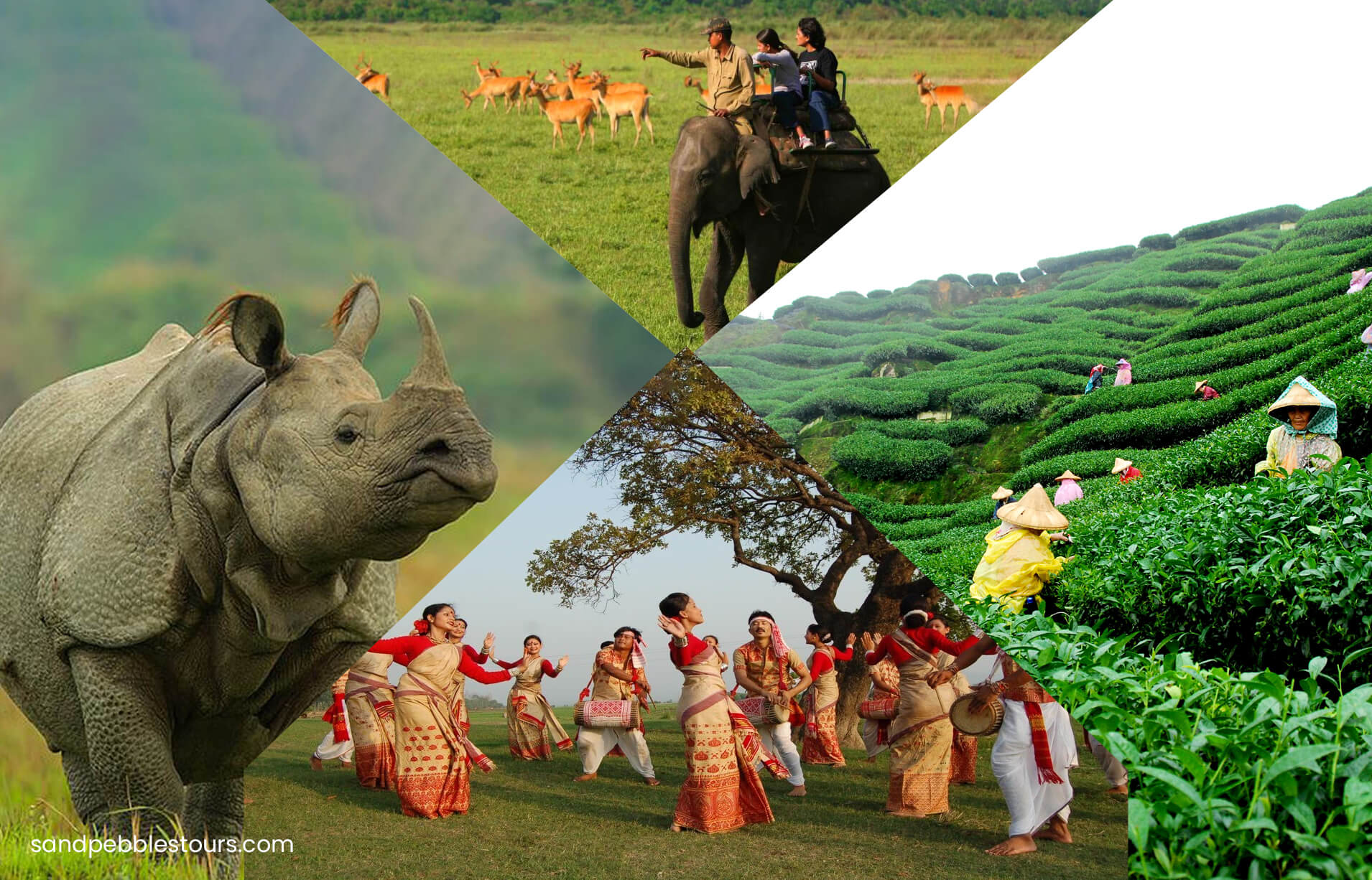 tourism and travel guide of assam