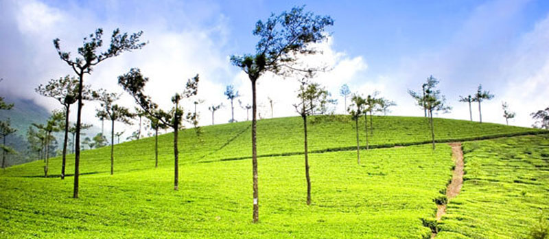 Hill-Stations-Extravaganza-Kerala