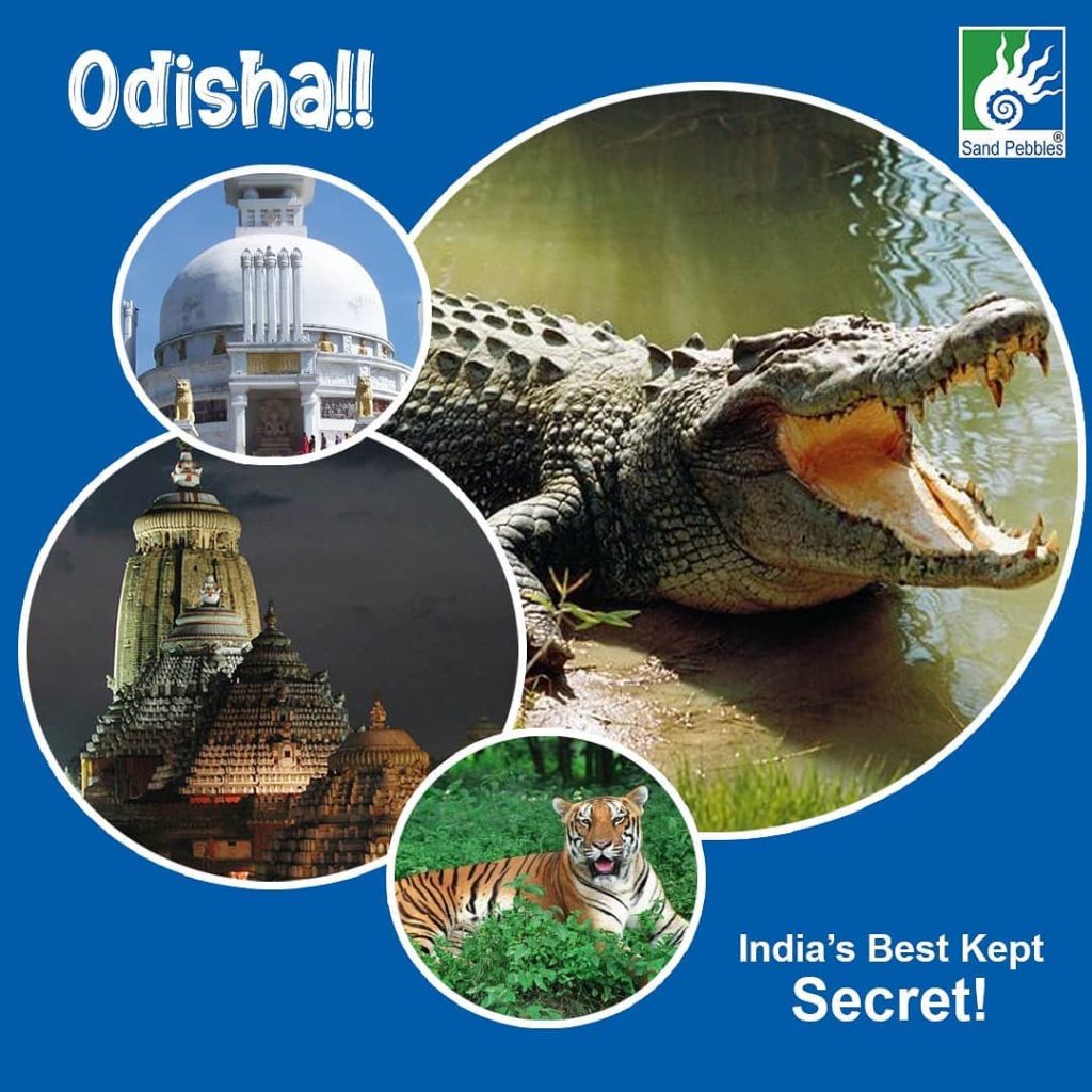 odisha tour agency