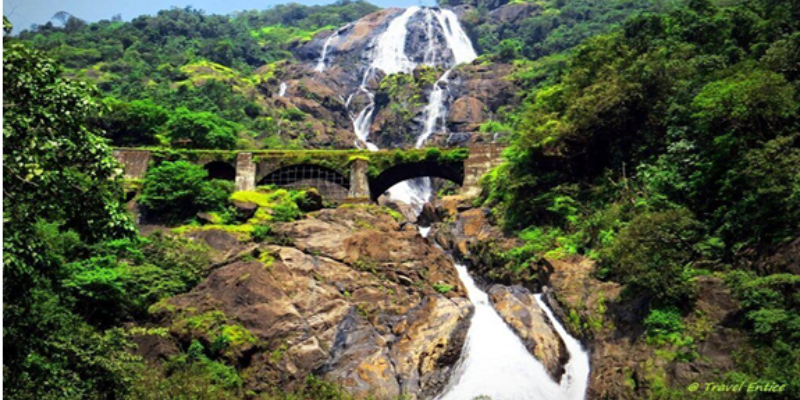 goa3