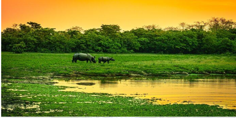 meghalaya4